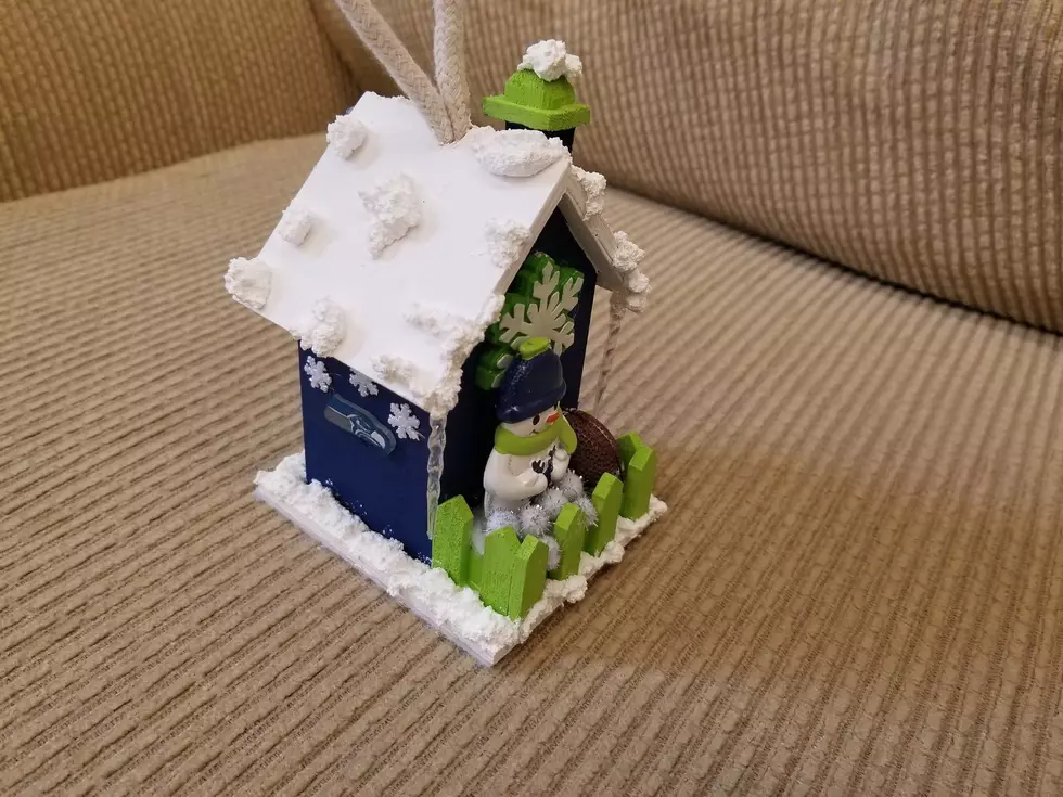 I Have A New Favorite Christmas Ornament!