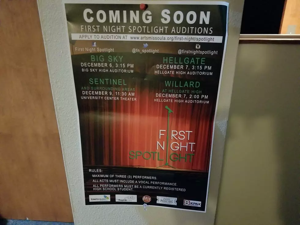 Wide Diversity in First Night Spotlight