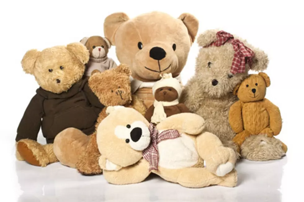 Toss a Teddy Bear for a Free Ticket to Montana Lady Griz Basketball