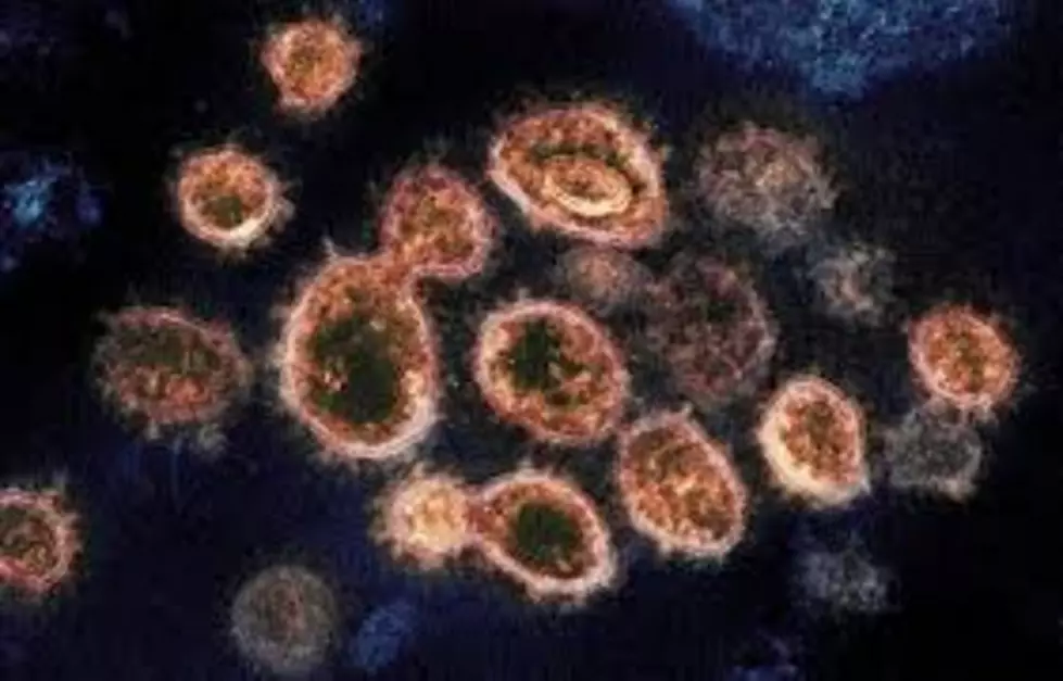 Saturday, Montana Added 167 New COVID-19 Cases