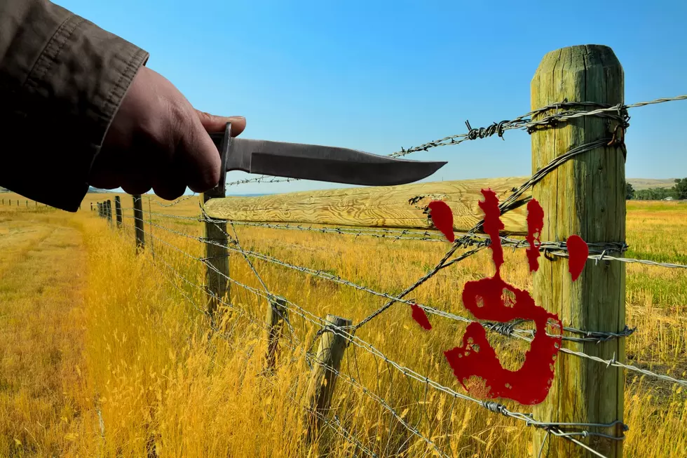 True Crime Fans Will Love This Book About Montana Killer